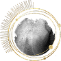 ornamentStone