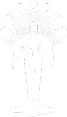 Message Icon