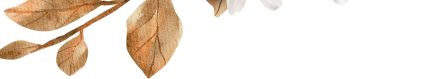 top leaves